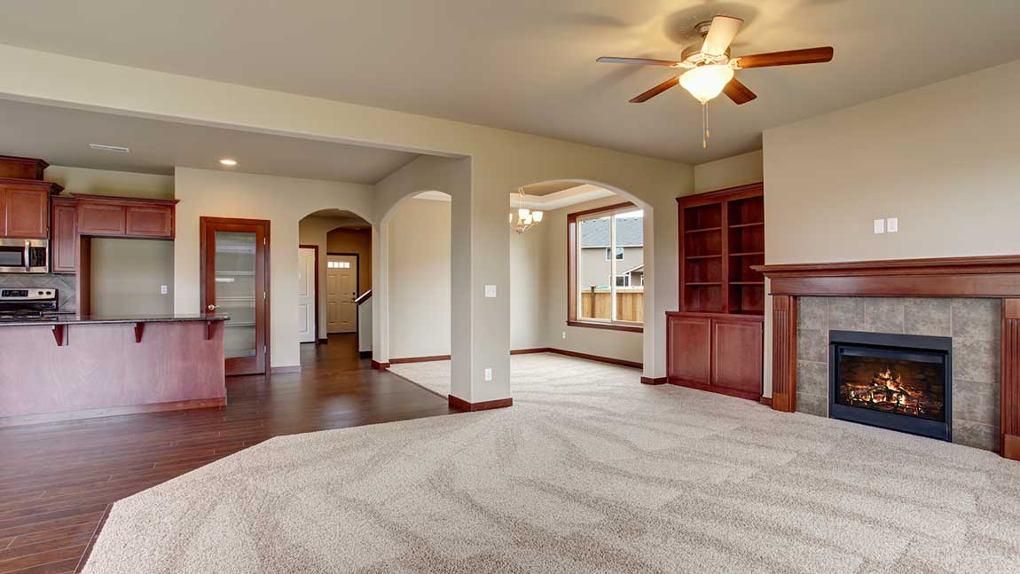 How to Clean a Carpet
